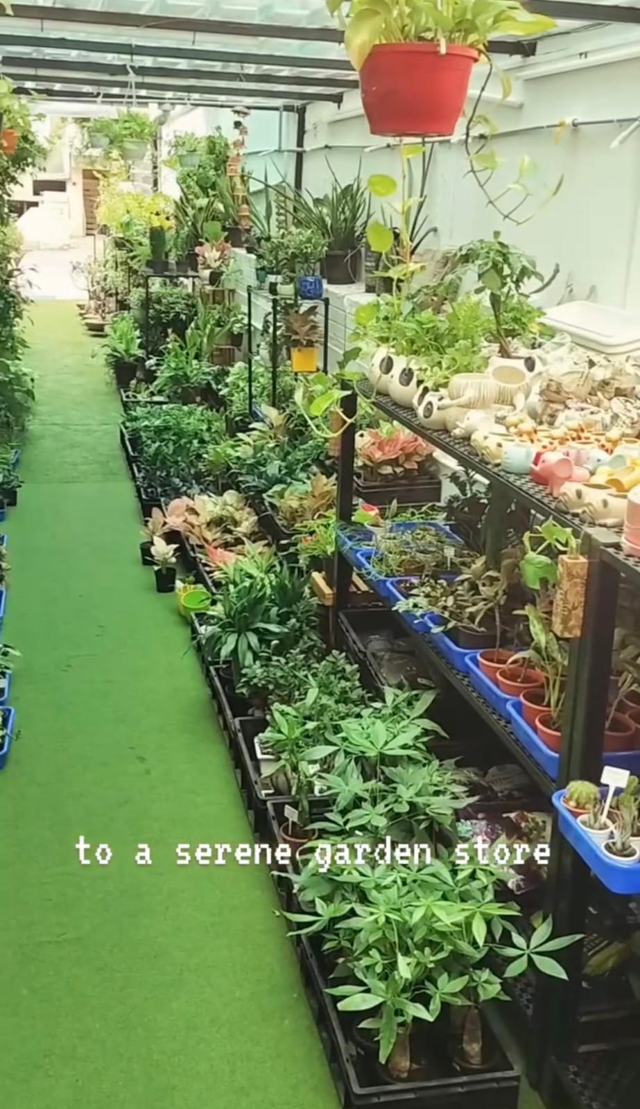 Verdure India Landscapes