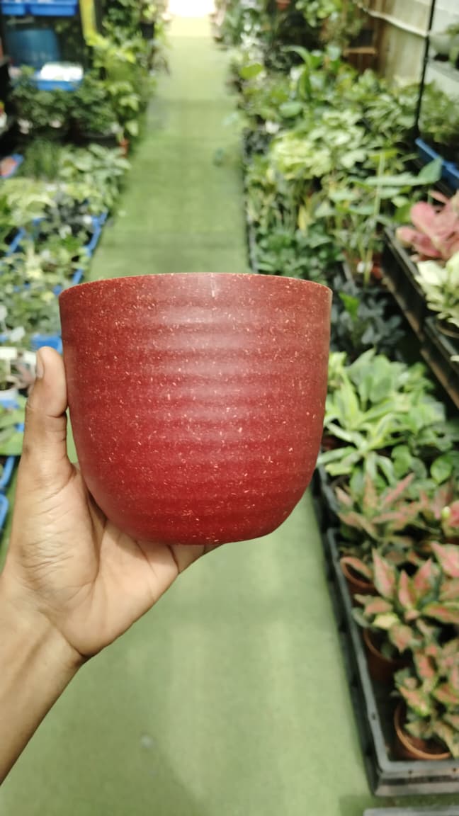 Ecofriendly Pots