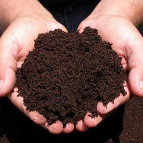 Organic Fertilizers & Manure