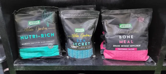 Outdoor Plants Seeds